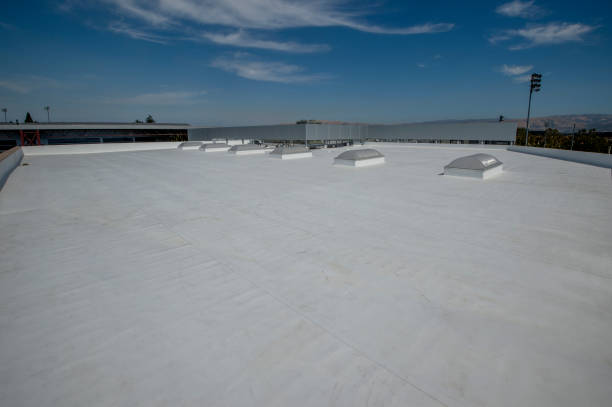 Best Rubber Roofing (EPDM, TPO)  in Dasher, GA