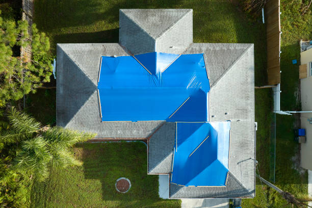 Best Skylights  in Dasher, GA