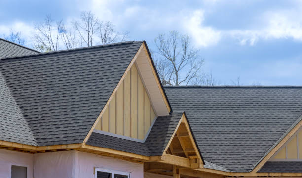 Best Roof Moss and Algae Removal  in Dasher, GA