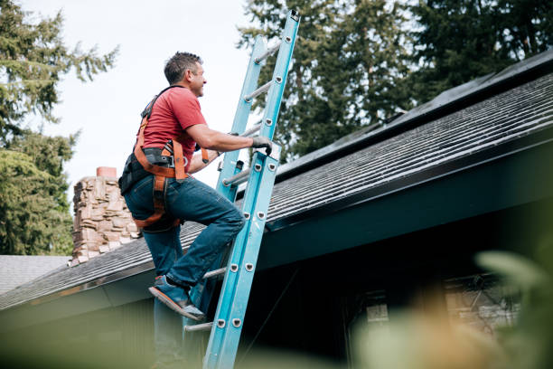 Best Solar Panel Roofing Installation  in Dasher, GA