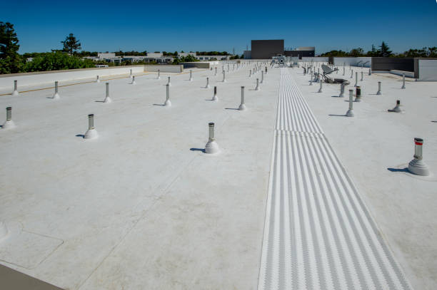 Best Storm Damage Roof Repair  in Dasher, GA